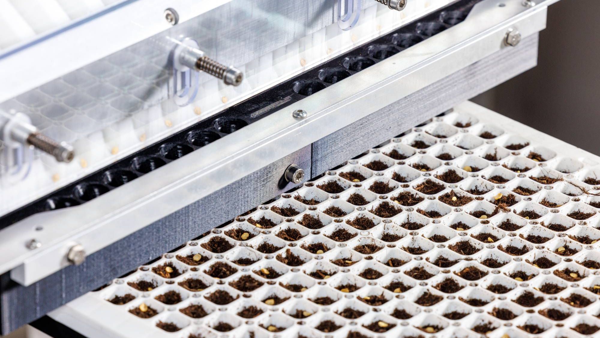 Masterphoto.nl_011-20250828-2N2A7466 (1)